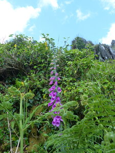 2021_06_12 Voyage Bretagne, 2021_06_08 Voyage Bretagne 177_Mont d Arree