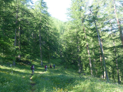 2021_07_08 Lac du Plan Vallon, 2021_07_08 Lac du Plan Vallon 04