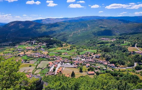 Covas, covas