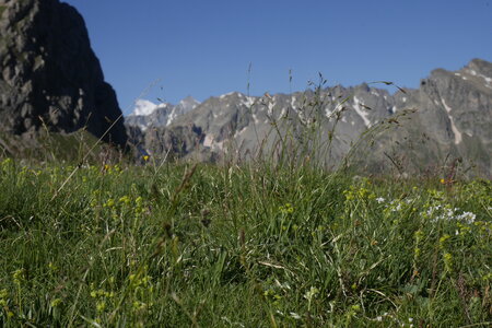 2021-07-03-11-haute-route-la-grave-briancon, alpes-aventure-cretes-du-chardonnet-2021-07-09-03