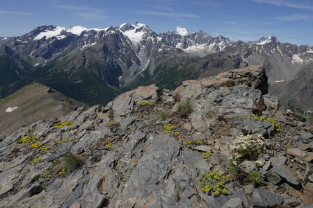 2021-07-03-11-haute-route-la-grave-briancon, alpes-aventure-cretes-du-chardonnet-2021-07-09-13