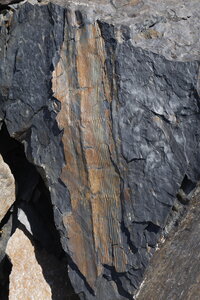 2021-07-03-11-haute-route-la-grave-briancon, alpes-aventure-cretes-du-chardonnet-2021-07-09-26