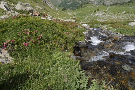 2021-07-03-11-haute-route-la-grave-briancon, alpes-aventure-cretes-du-chardonnet-2021-07-09-49