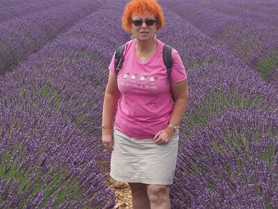 LES LAVANDES PLATEAU DE VALENSOLE ET SAULT, 0015