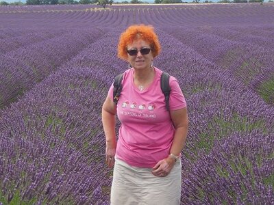 LES LAVANDES PLATEAU DE VALENSOLE ET SAULT, 0016