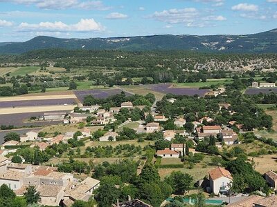 LES LAVANDES PLATEAU DE VALENSOLE ET SAULT, 0087