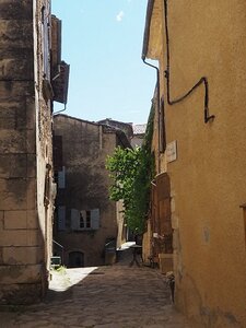 LES LAVANDES PLATEAU DE VALENSOLE ET SAULT, 0089