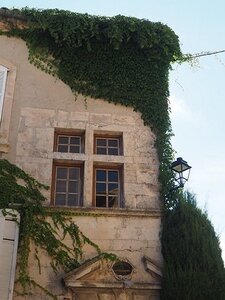 LES LAVANDES PLATEAU DE VALENSOLE ET SAULT, 0094