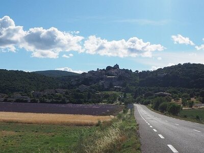 LES LAVANDES PLATEAU DE VALENSOLE ET SAULT, 0106