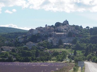 LES LAVANDES PLATEAU DE VALENSOLE ET SAULT, 0107