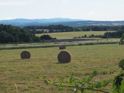 LES LAVANDES PLATEAU DE VALENSOLE ET SAULT, 0115