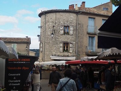 LES LAVANDES PLATEAU DE VALENSOLE ET SAULT, 0116