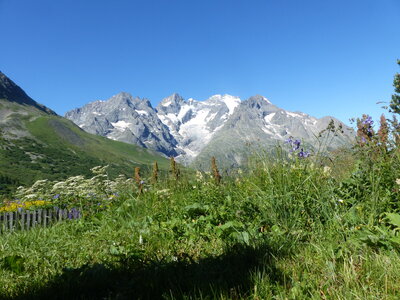 2021 07 18 jardin Lautaret, 2021_07_18 jardin alpin Lautaret 002