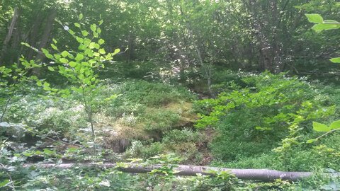 ARTIGUE , 20210720_133109