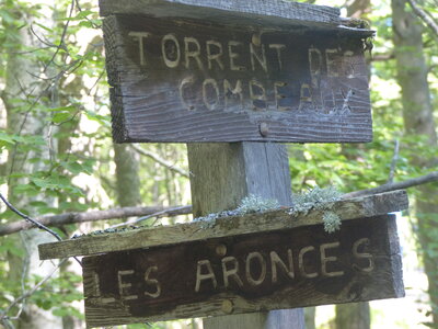 2021 07 20 Boucle des Aronces, 2021_07_20 Boucle des Aronces008
