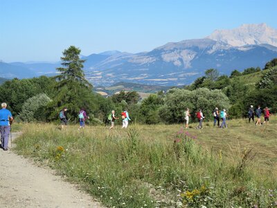 Champdu Comte - Boucle des Aronces, IMG_7290