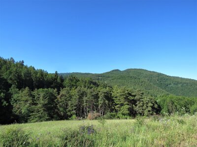 Champdu Comte - Boucle des Aronces, IMG_7292