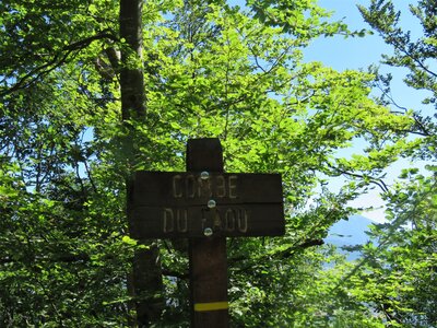 Champdu Comte - Boucle des Aronces, IMG_7308