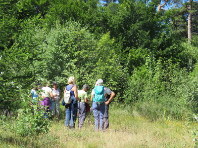 Champdu Comte - Boucle des Aronces, IMG_7311