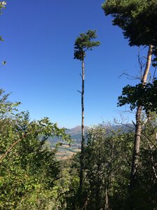 Champdu Comte - Boucle des Aronces, IMG_8063