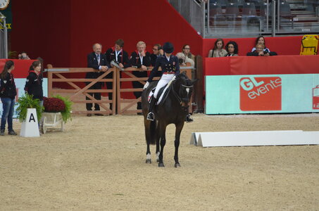Dressage Lyon, DSC_2832
