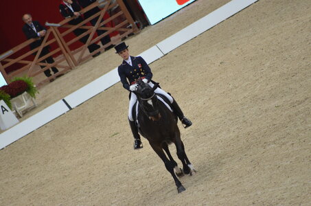 Dressage Lyon, DSC_2833