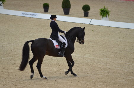 Dressage Lyon, DSC_2835