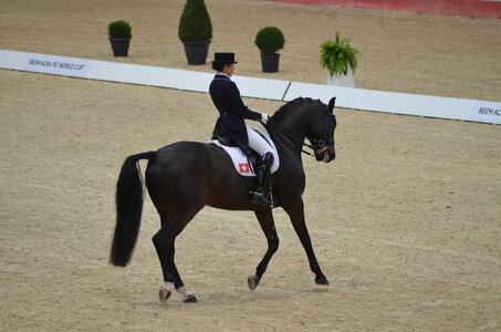 Dressage Lyon, DSC_2837