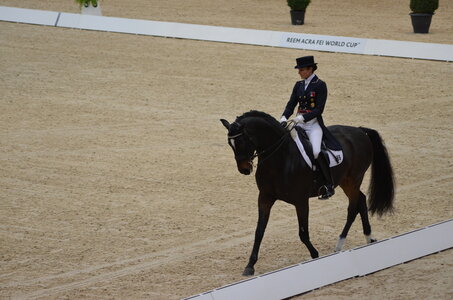 Dressage Lyon, DSC_2842