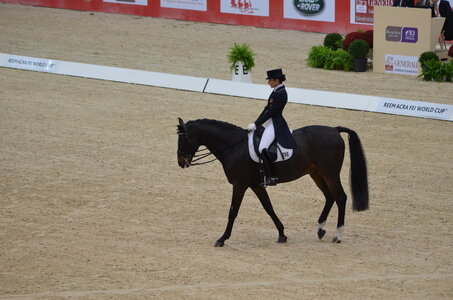 Dressage Lyon, DSC_2847