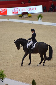 Dressage Lyon, DSC_2853
