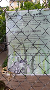 Guillotière umap, 20190502_154057