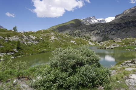 2021-07-14-18-breithorn-pollux-castor, alpes-aventure-castor-2021-07-18-80
