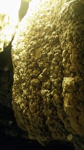 LOMBRIVES, 20210727_154221_LLS