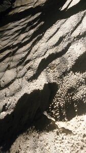 LOMBRIVES, 20210727_155742_LLS