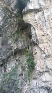LOMBRIVES, 20210727_174723