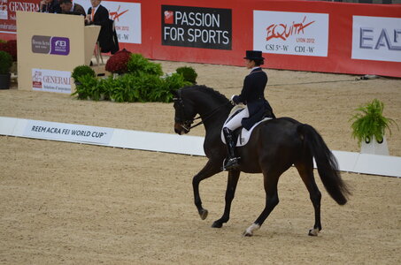 Dressage Lyon, DSC_2854
