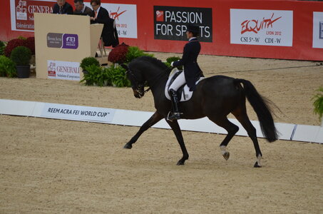 Dressage Lyon, DSC_2855