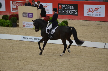 Dressage Lyon, DSC_2856