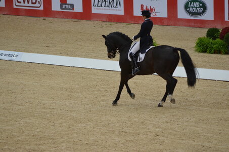 Dressage Lyon, DSC_2858
