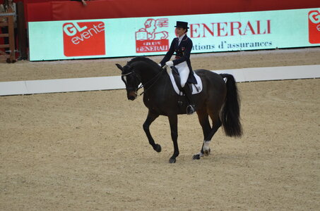 Dressage Lyon, DSC_2860