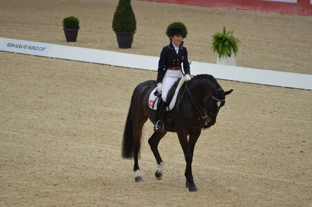Dressage Lyon, DSC_2864