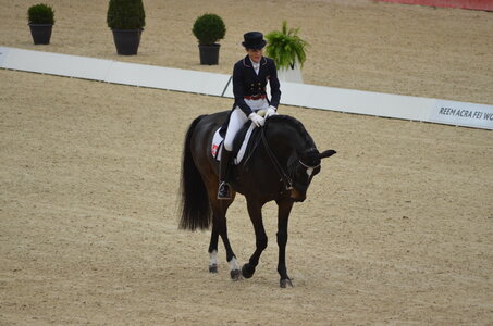 Dressage Lyon, DSC_2865