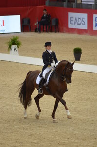 Dressage Lyon, DSC_2872