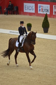 Dressage Lyon, DSC_2873