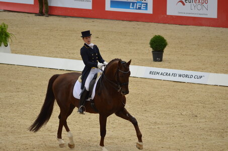 Dressage Lyon, DSC_2875