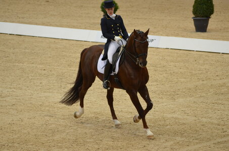 Dressage Lyon, DSC_2877