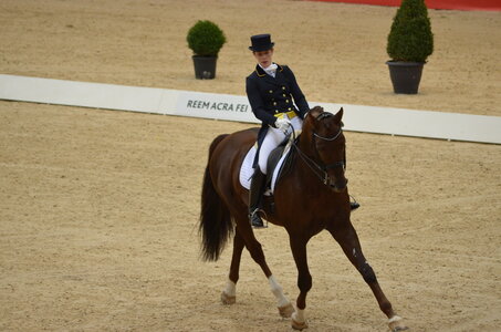 Dressage Lyon, DSC_2878