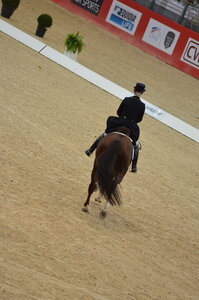 Dressage Lyon, DSC_2879