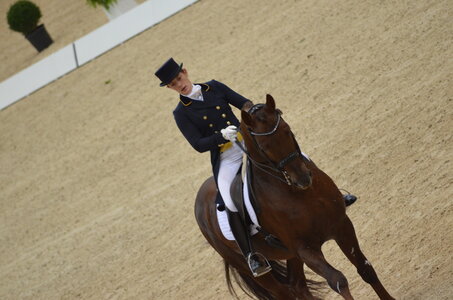 Dressage Lyon, DSC_2883